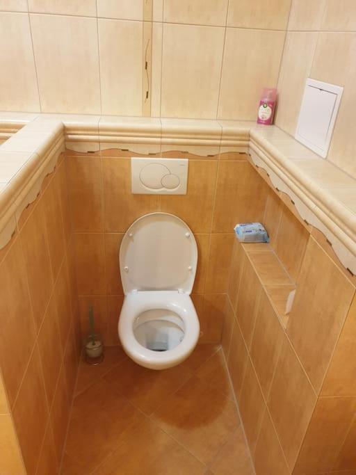 Mezonetovy Apartman V Centre Novej Dubnice Ilava Exteriör bild
